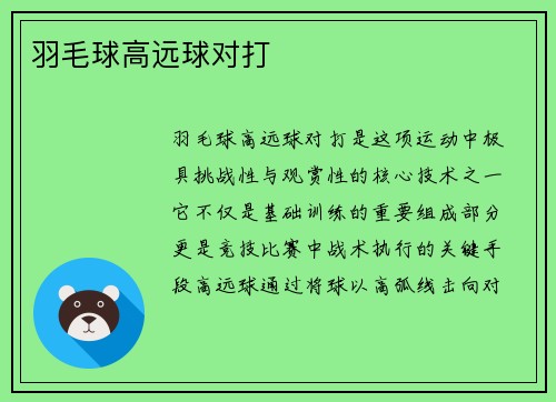 羽毛球高远球对打